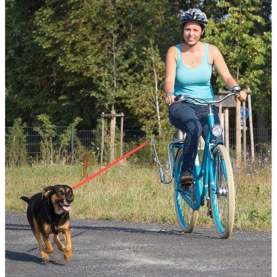 Dog Walk 92 Cm – Image 3